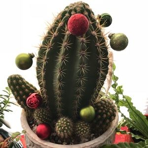 Meet your Posher, Yuliya